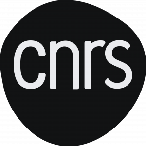 CNRS client wink